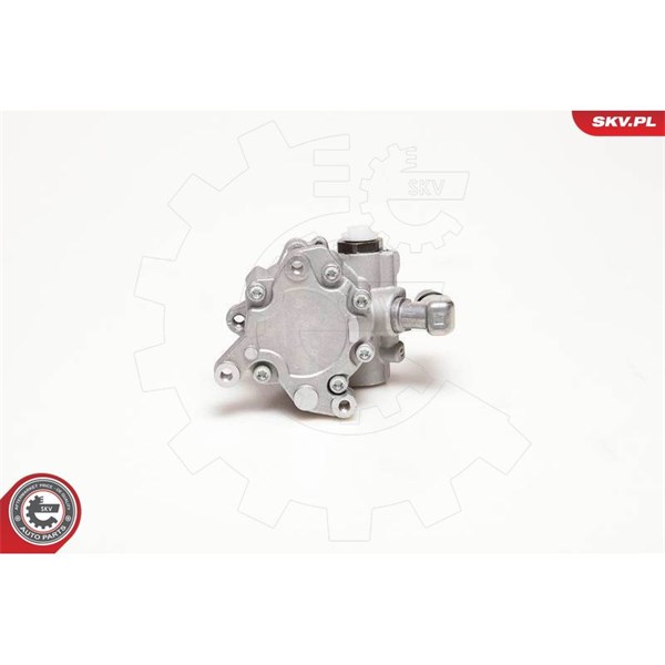 Servopump Esen skv 10SKV124 ESEN SKV