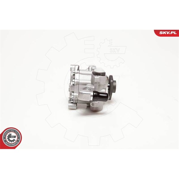 Servopump Esen skv 10SKV124 ESEN SKV
