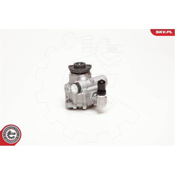 Servopump Esen skv 10SKV124 ESEN SKV