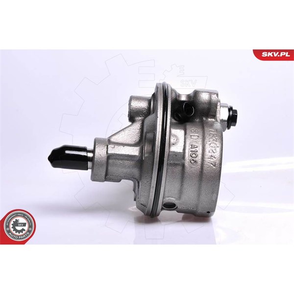 Servopump Esen skv 10SKV128 ESEN SKV