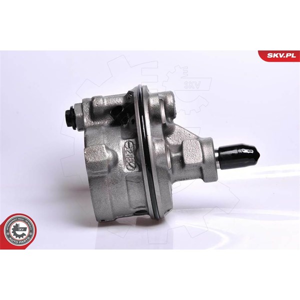 Servopump Esen skv 10SKV128 ESEN SKV Servopump Esen skv 10SKV128 ESEN SKV