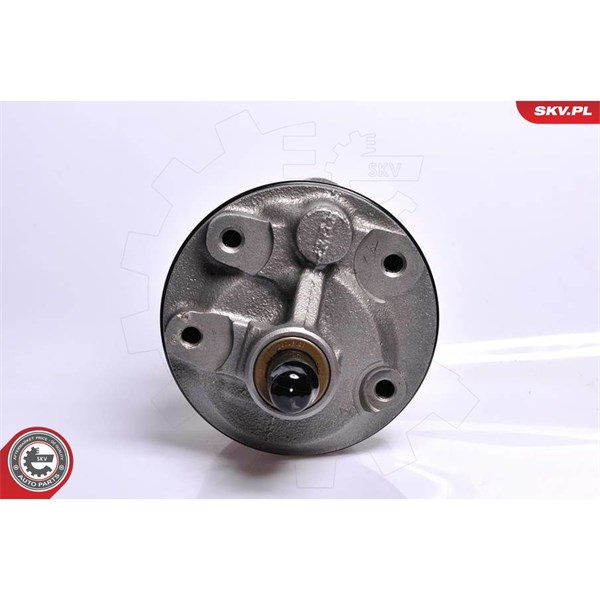 Servopump Esen skv 10SKV128 ESEN SKV Servopump Esen skv 10SKV128 ESEN SKV