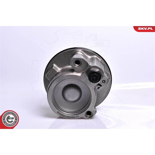 Servopump Esen skv 10SKV128 ESEN SKV Servopump Esen skv 10SKV128 ESEN SKV
