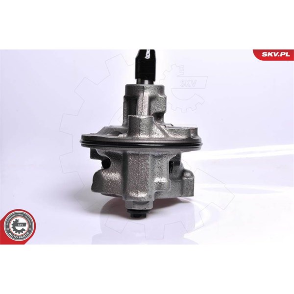 Servopump Esen skv 10SKV128 ESEN SKV