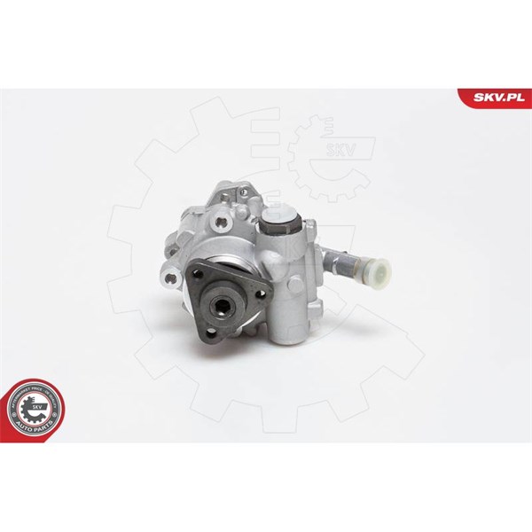 Servopump Esen skv 10SKV129 ESEN SKV
