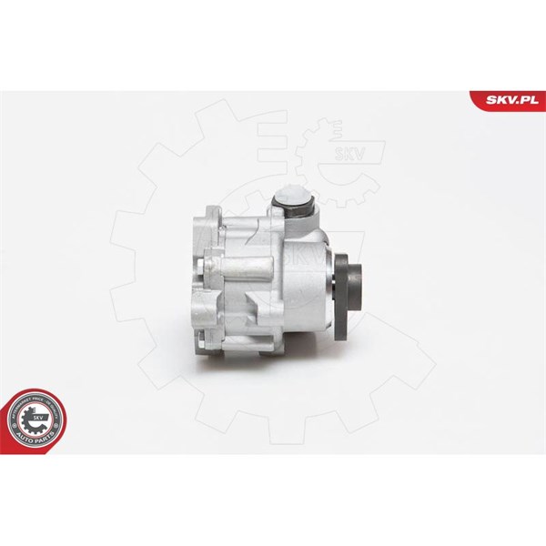 Servopump Esen skv 10SKV129 ESEN SKV