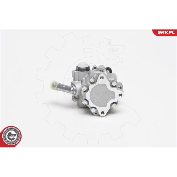 Servopump Esen skv 10SKV129 ESEN SKV