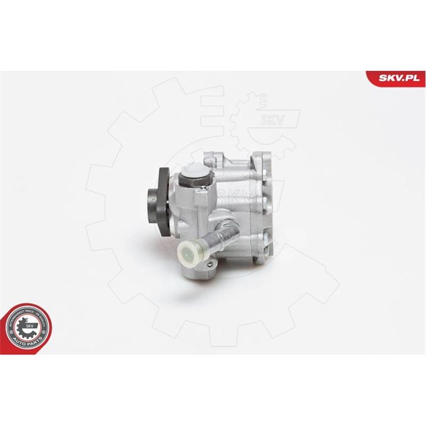 Servopump Esen skv 10SKV129 ESEN SKV