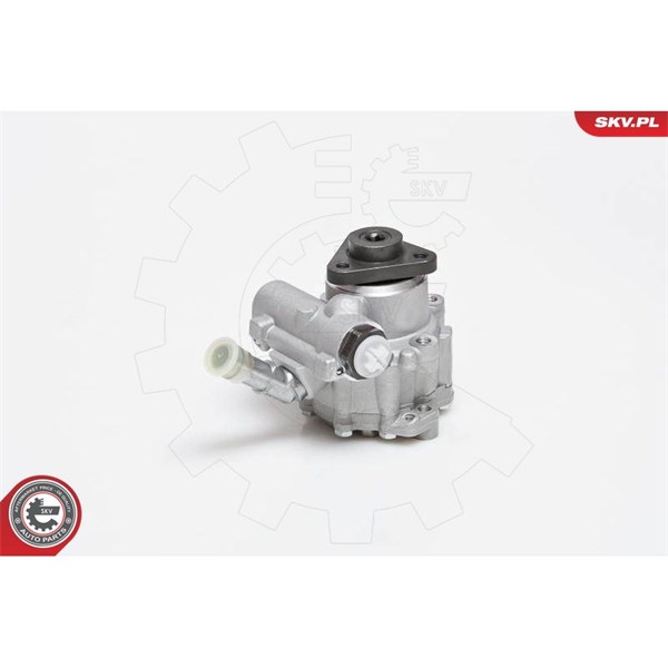Servopump Esen skv 10SKV129 ESEN SKV