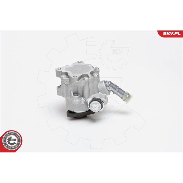 Servopump Esen skv 10SKV129 ESEN SKV
