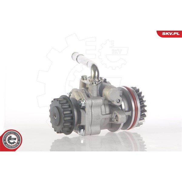 Servopump Esen skv 10SKV131 ESEN SKV