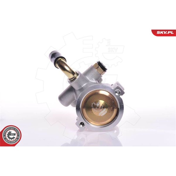 Servopump Esen skv 10SKV133 ESEN SKV