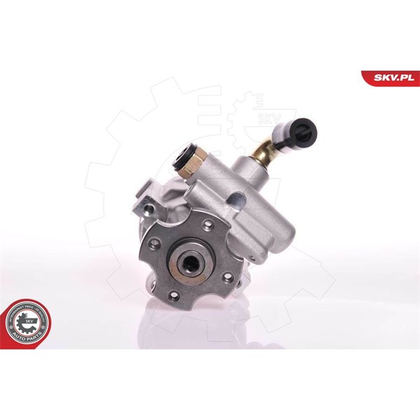 Servopump Esen skv 10SKV133 ESEN SKV