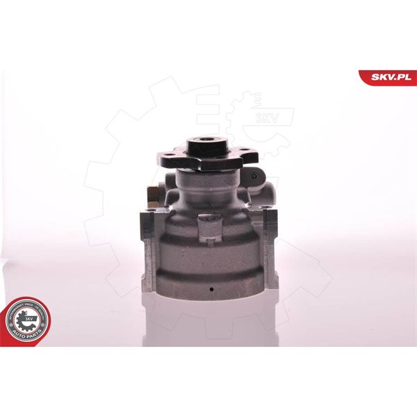 Servopump Esen skv 10SKV133 ESEN SKV