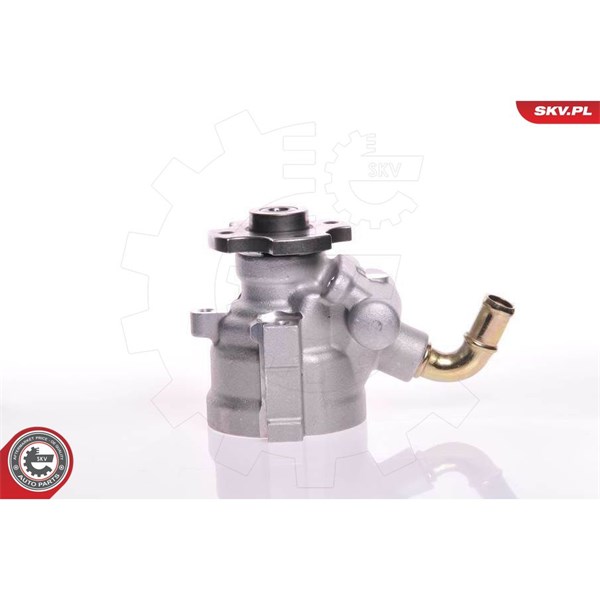 Servopump Esen skv 10SKV133 ESEN SKV