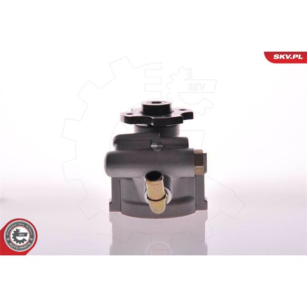 Servopump Esen skv 10SKV133 ESEN SKV