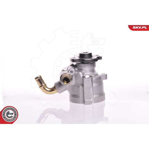 Servopump Esen skv 10SKV133 ESEN SKV