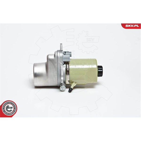 Servopump Esen skv 10SKV135 ESEN SKV