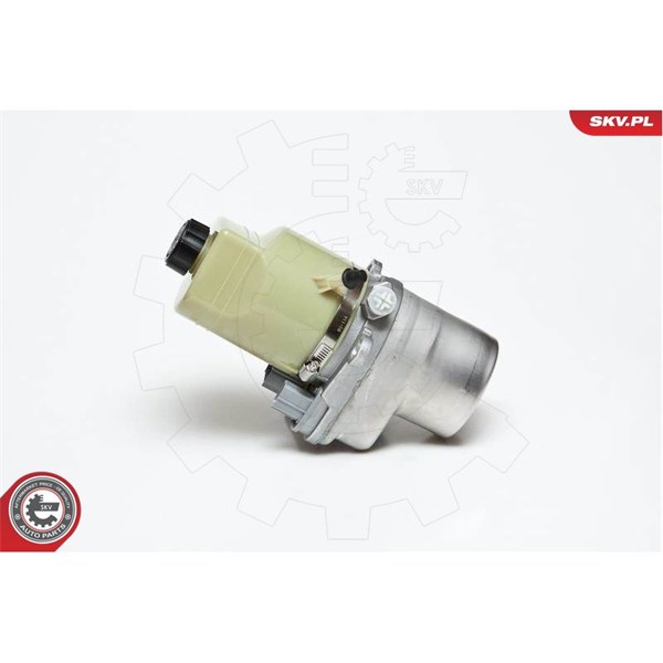 Servopump Esen skv 10SKV135 ESEN SKV