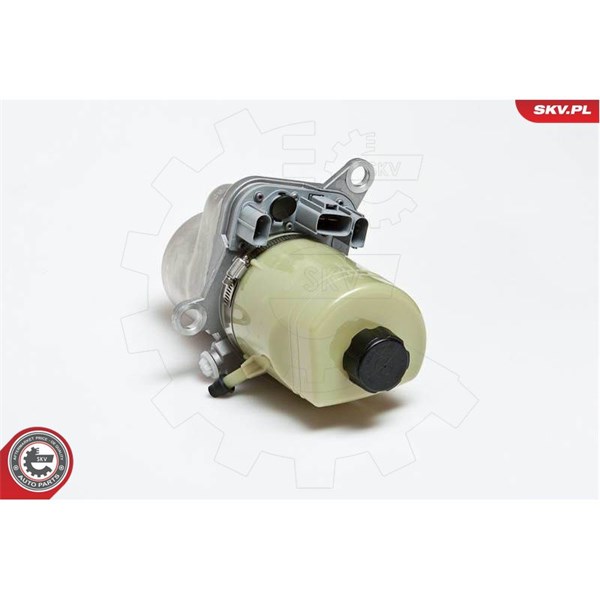 Servopump Esen skv 10SKV135 ESEN SKV