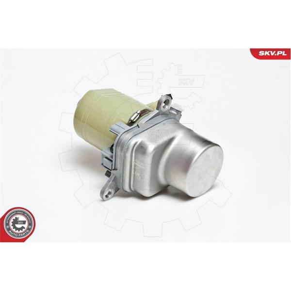 Servopump Esen skv 10SKV135 ESEN SKV