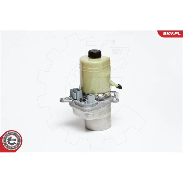 Servopump Esen skv 10SKV135 ESEN SKV