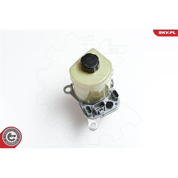 Servopump Esen skv 10SKV135 ESEN SKV
