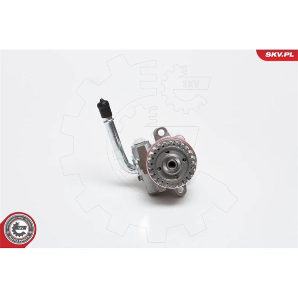 Servopump Esen skv 10SKV136 ESEN SKV