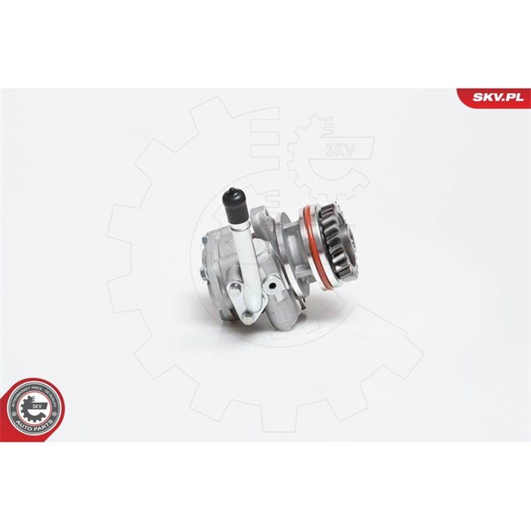 Servopump Esen skv 10SKV136 ESEN SKV