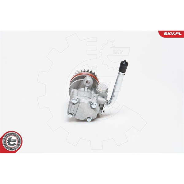 Servopump Esen skv 10SKV136 ESEN SKV