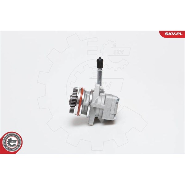 Servopump Esen skv 10SKV136 ESEN SKV