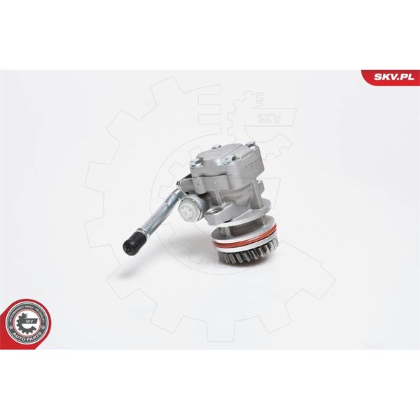 Servopump Esen skv 10SKV136 ESEN SKV