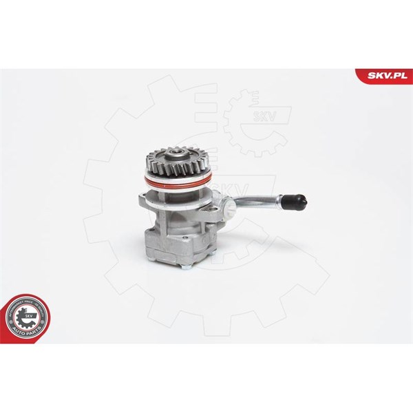 Servopump Esen skv 10SKV136 ESEN SKV