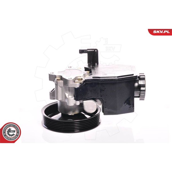 Servopump Esen skv 10SKV139 ESEN SKV