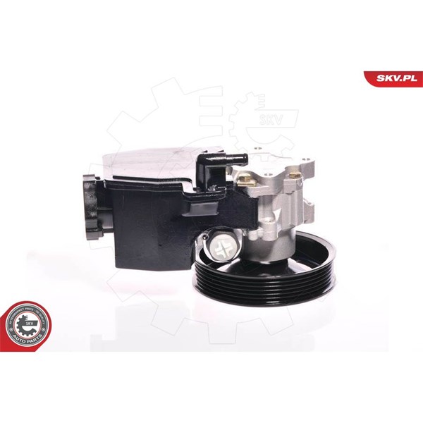 Servopump Esen skv 10SKV139 ESEN SKV Servopump Esen skv 10SKV139 ESEN SKV