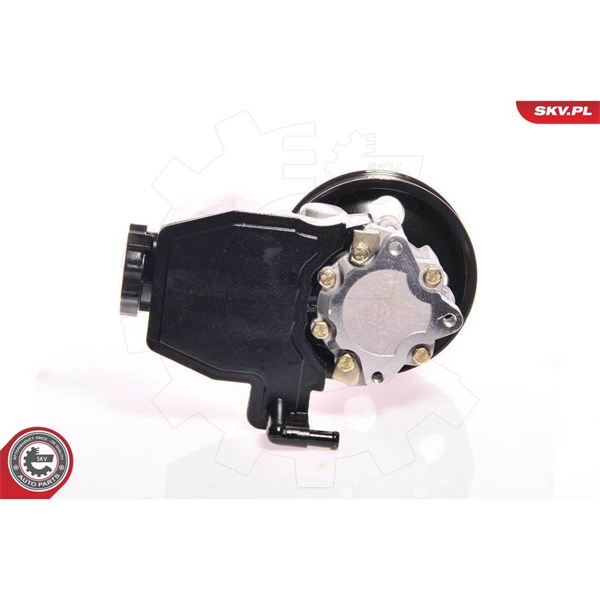 Servopump Esen skv 10SKV139 ESEN SKV Servopump Esen skv 10SKV139 ESEN SKV