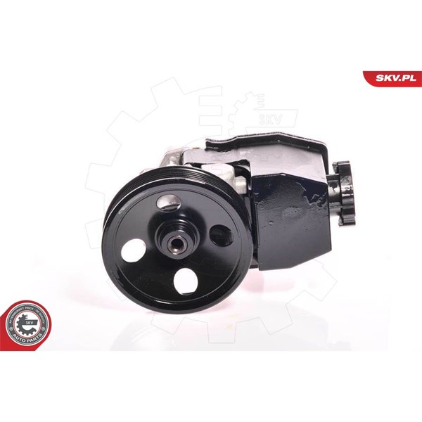 Servopump Esen skv 10SKV139 ESEN SKV Servopump Esen skv 10SKV139 ESEN SKV