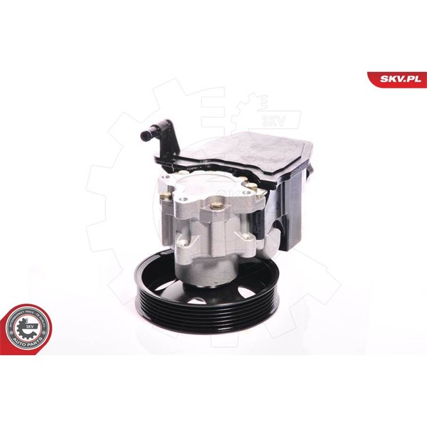 Servopump Esen skv 10SKV139 ESEN SKV Servopump Esen skv 10SKV139 ESEN SKV