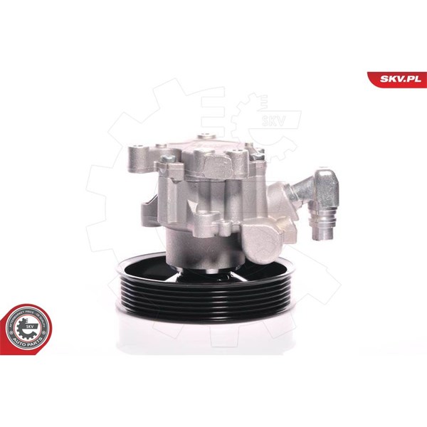 Servopump Esen skv 10SKV140 ESEN SKV