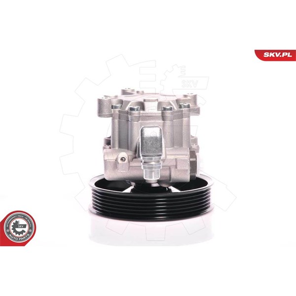 Servopump Esen skv 10SKV140 ESEN SKV Servopump Esen skv 10SKV140 ESEN SKV