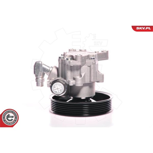 Servopump Esen skv 10SKV140 ESEN SKV Servopump Esen skv 10SKV140 ESEN SKV