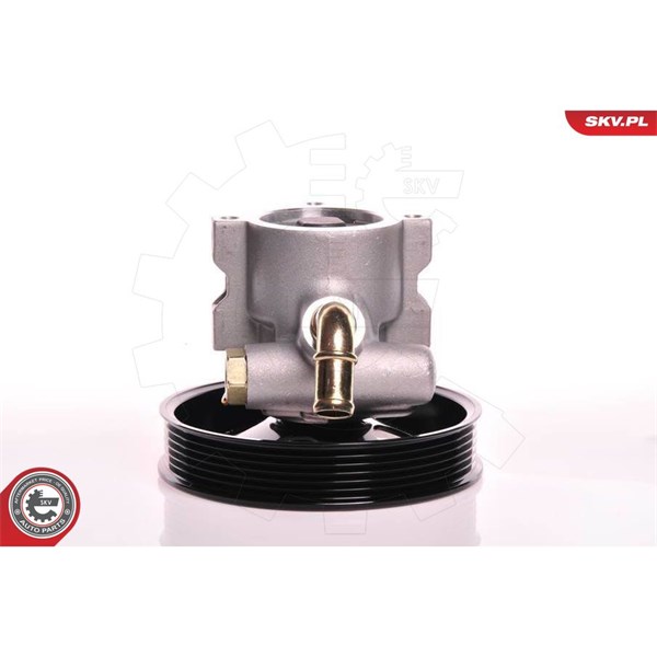 Servopump Esen skv 10SKV142 ESEN SKV