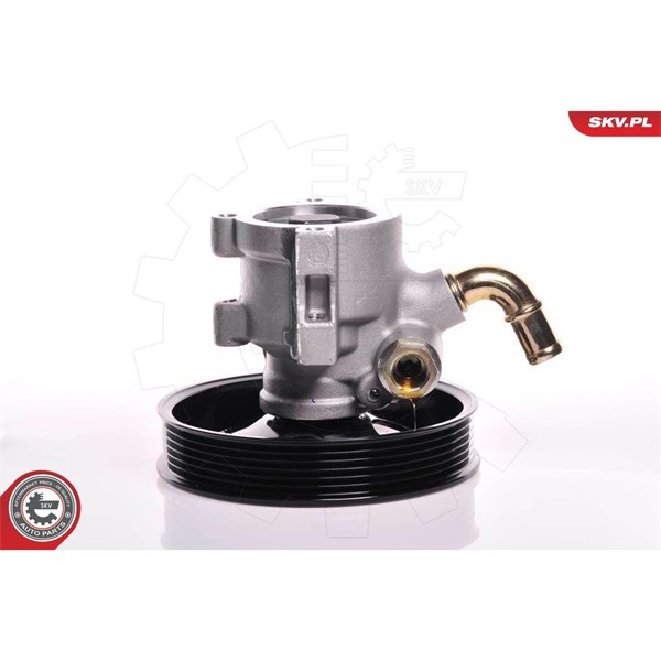 Servopump Esen skv 10SKV142 ESEN SKV Servopump Esen skv 10SKV142 ESEN SKV