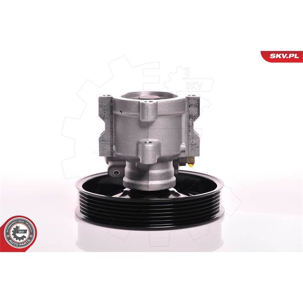 Servopump Esen skv 10SKV142 ESEN SKV Servopump Esen skv 10SKV142 ESEN SKV