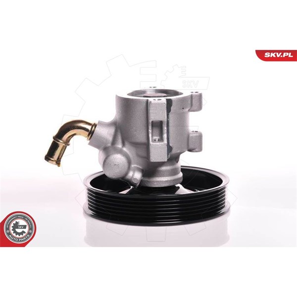 Servopump Esen skv 10SKV142 ESEN SKV Servopump Esen skv 10SKV142 ESEN SKV