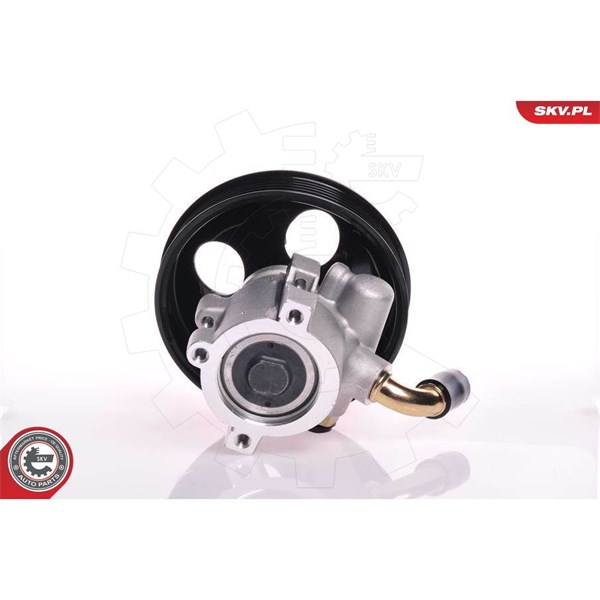 Servopump Esen skv 10SKV142 ESEN SKV