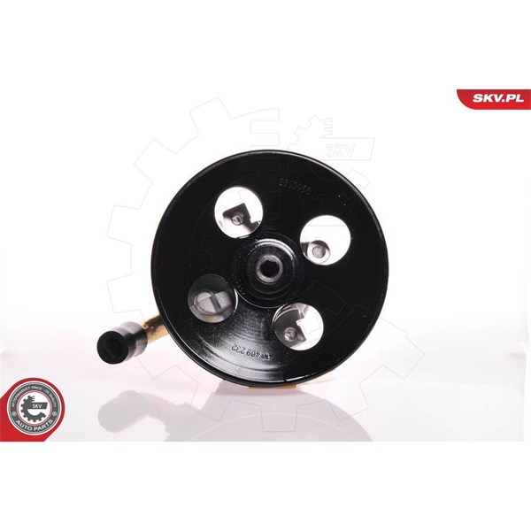 Servopump Esen skv 10SKV142 ESEN SKV Servopump Esen skv 10SKV142 ESEN SKV