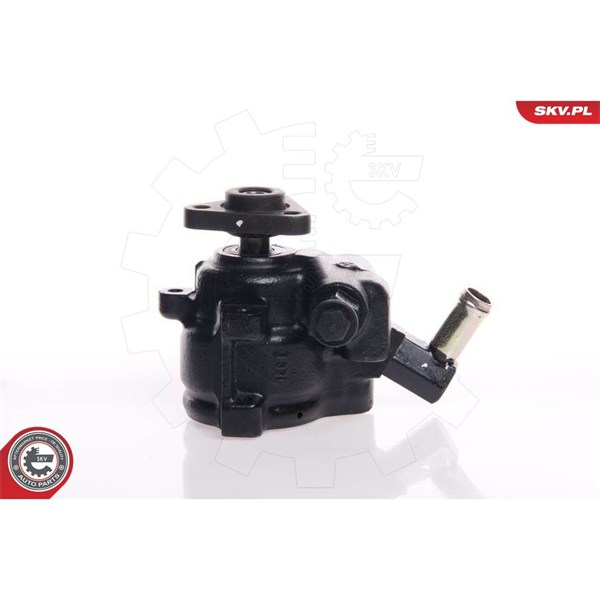 Servopump Esen skv 10SKV144 ESEN SKV