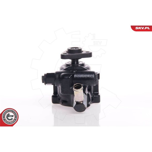 Servopump Esen skv 10SKV144 ESEN SKV