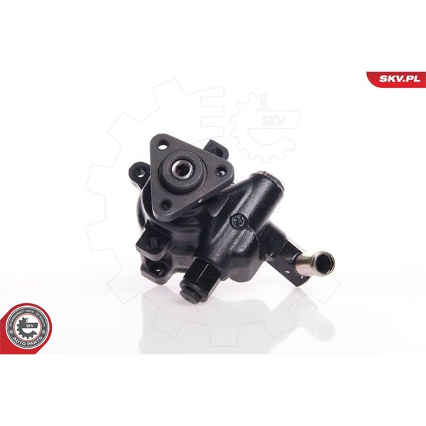 Servopump Esen skv 10SKV144 ESEN SKV